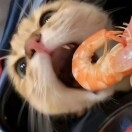 永义